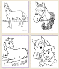 Horses (raisingourkids)