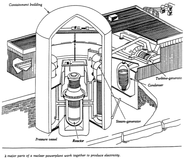 Lessons On Nuclear Topics